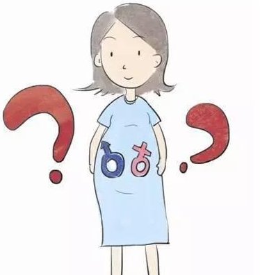 揭秘杭州助孕领域：哪家公司是孕气助力首选？