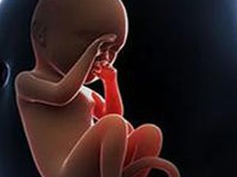 蚌埠试管婴儿的预计费用是多少？